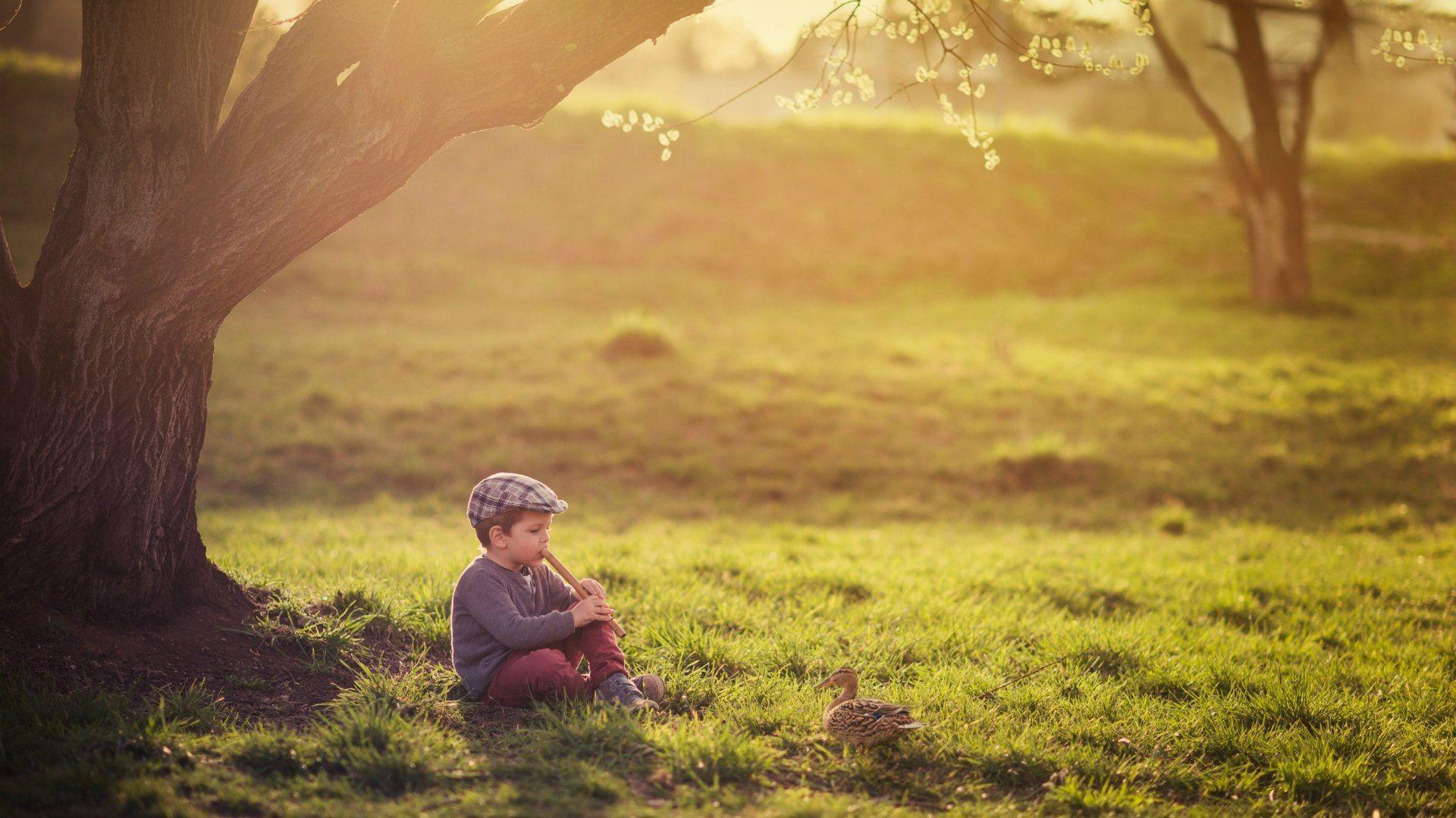 Boy playing the flute wallpapers and image