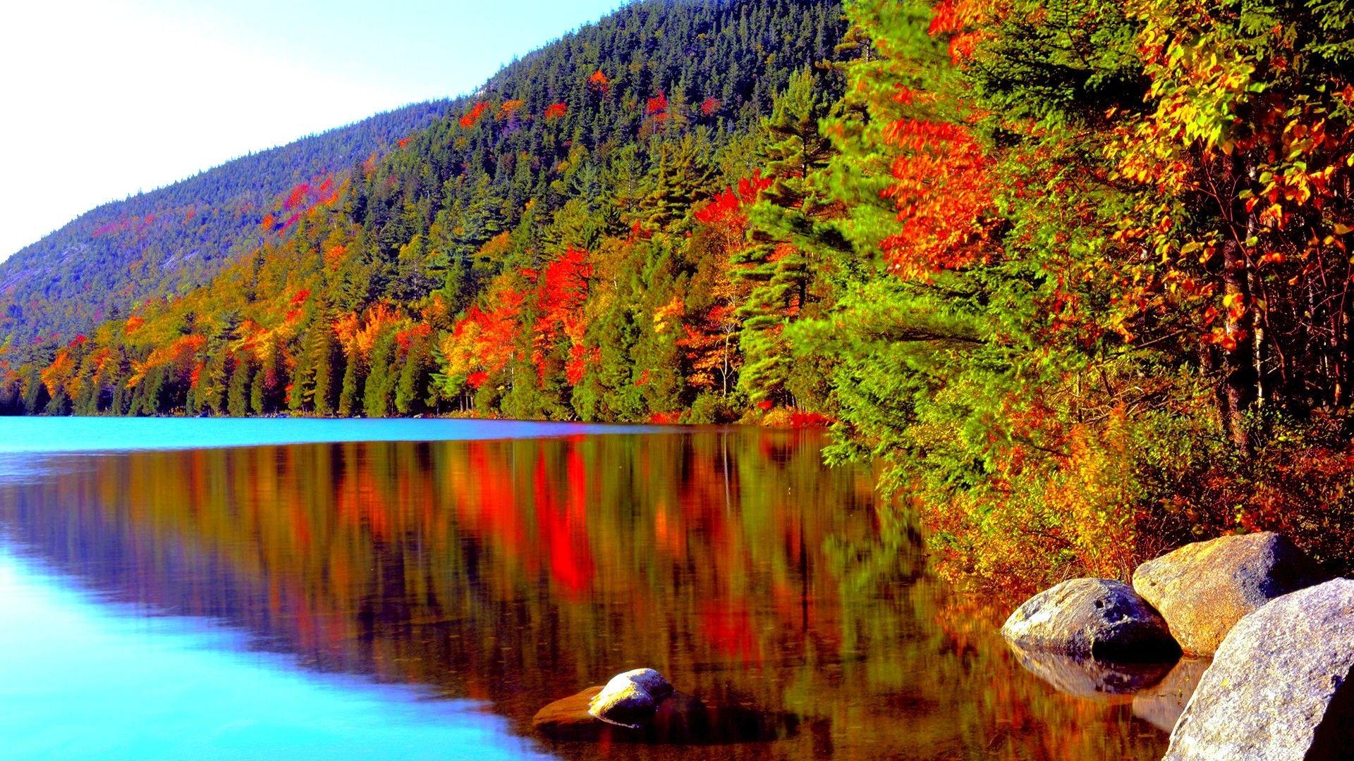 Acadia Tag wallpapers: Acadia National Park Coast Sky Sea Trees