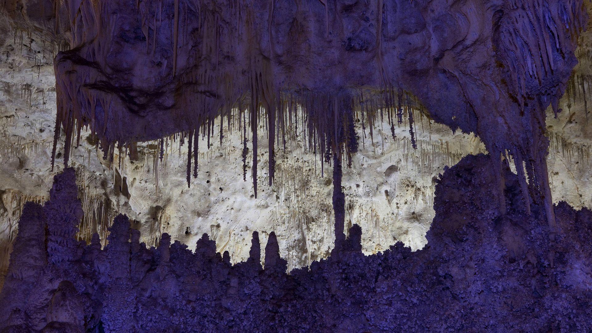 Carlsbad Caverns National Park New Mexico