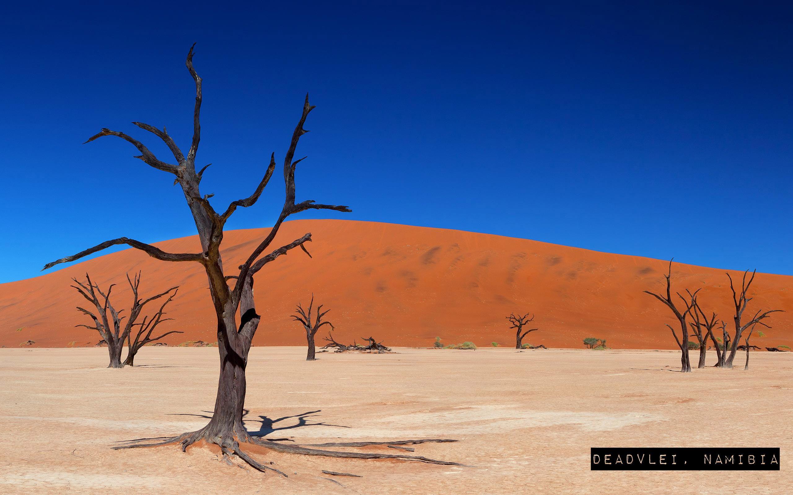 8 Deadvlei, Namibia