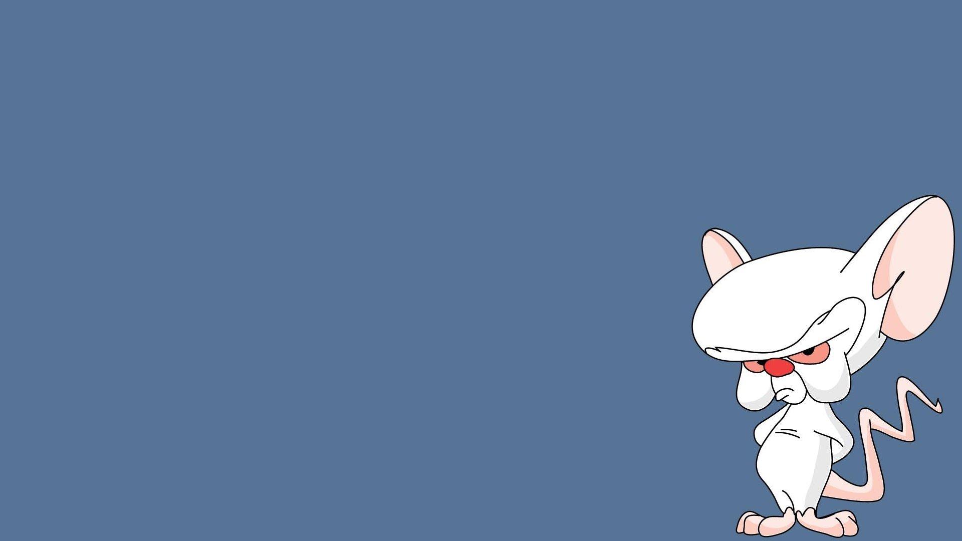 Pinky And The Brain Wallpapers and Backgrounds Image