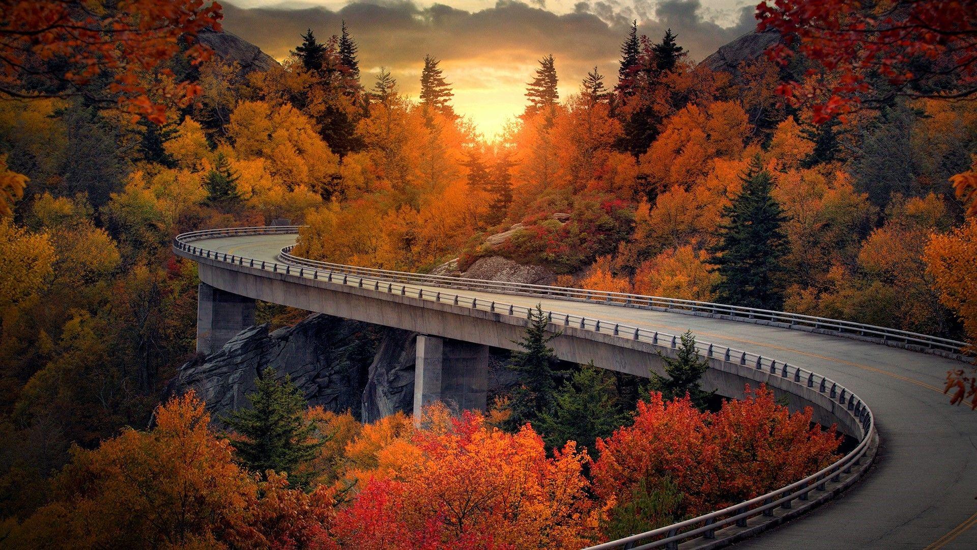 Viaduct on the Blue Ridge Parkway in North Carolina in Autumn HD