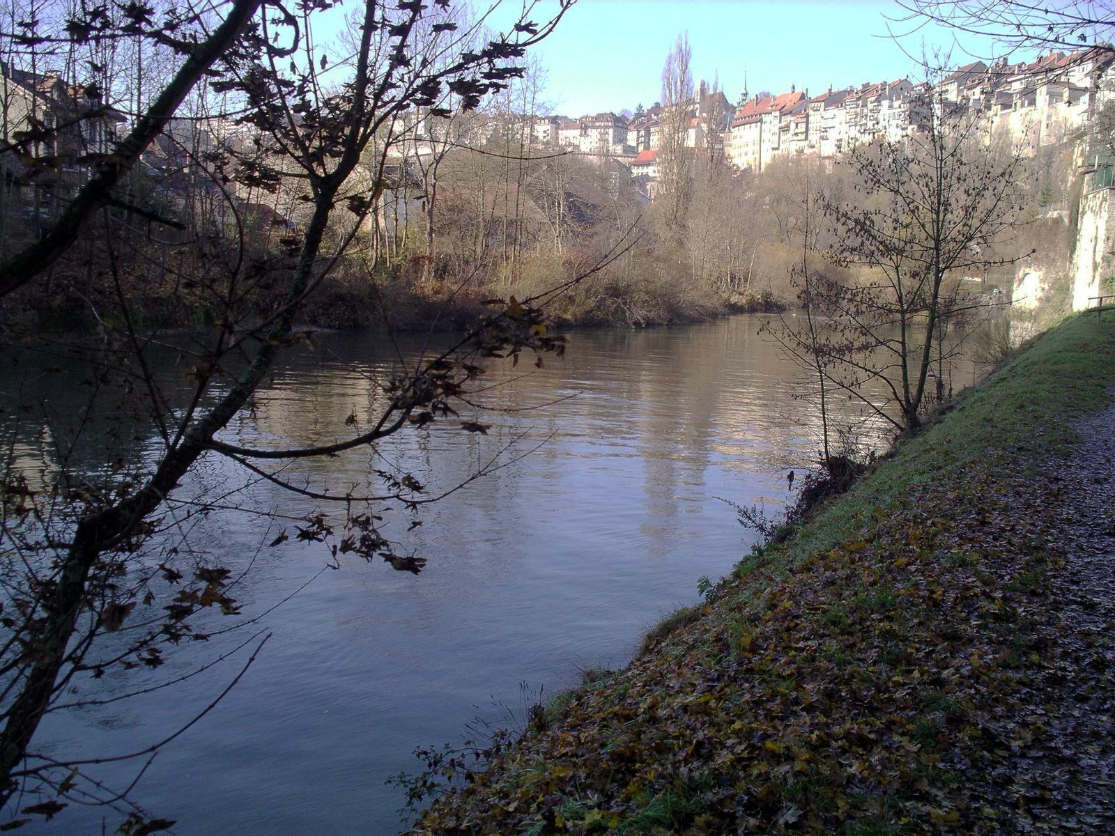 Basse Ville Fribourg At Riverbank