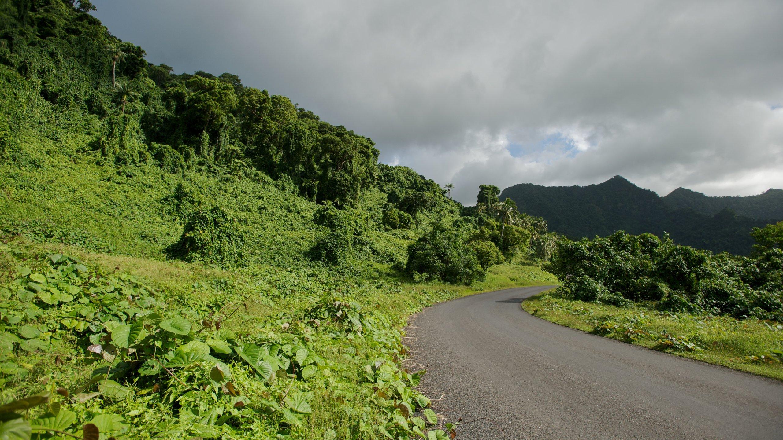 Upolu Accommodation