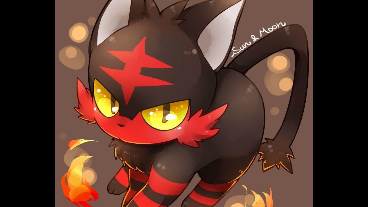 Litten is Lit image Litten HD wallpapers and backgrounds photos