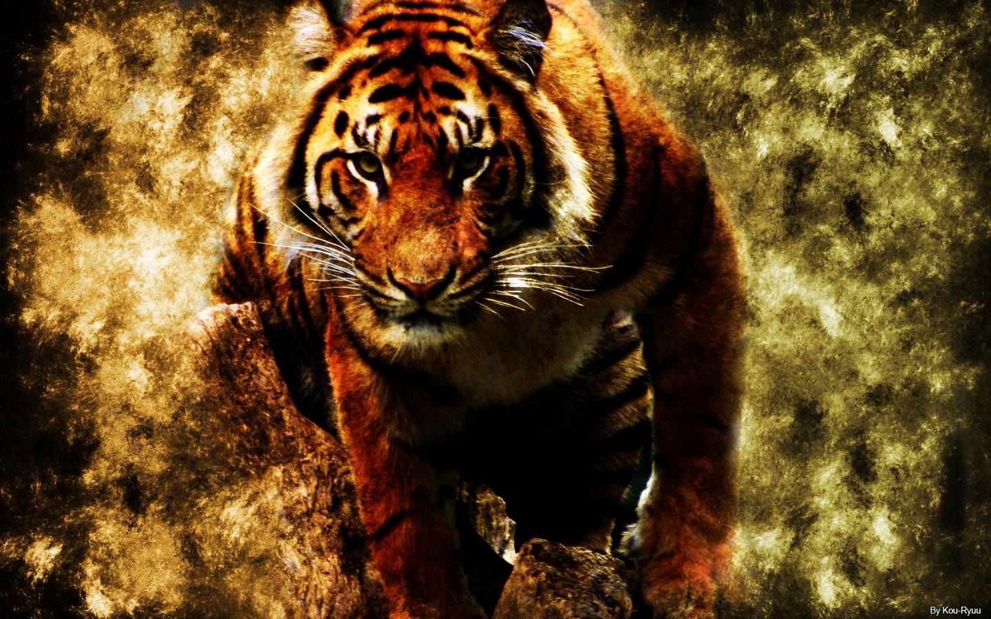 Hd Tiger Wallpapers For Desktop