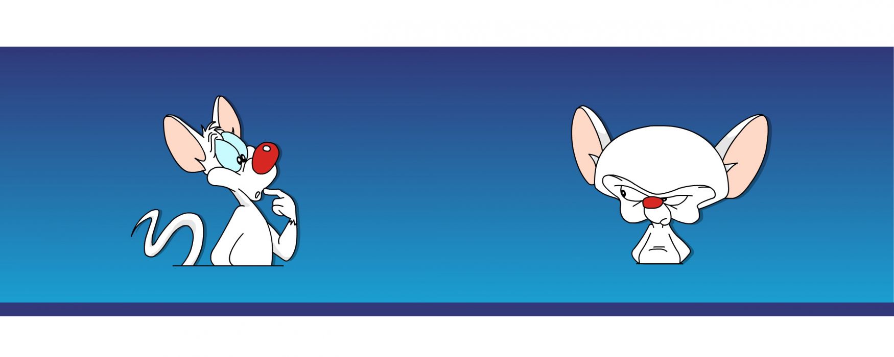 Pinky & The Brain wallpapers