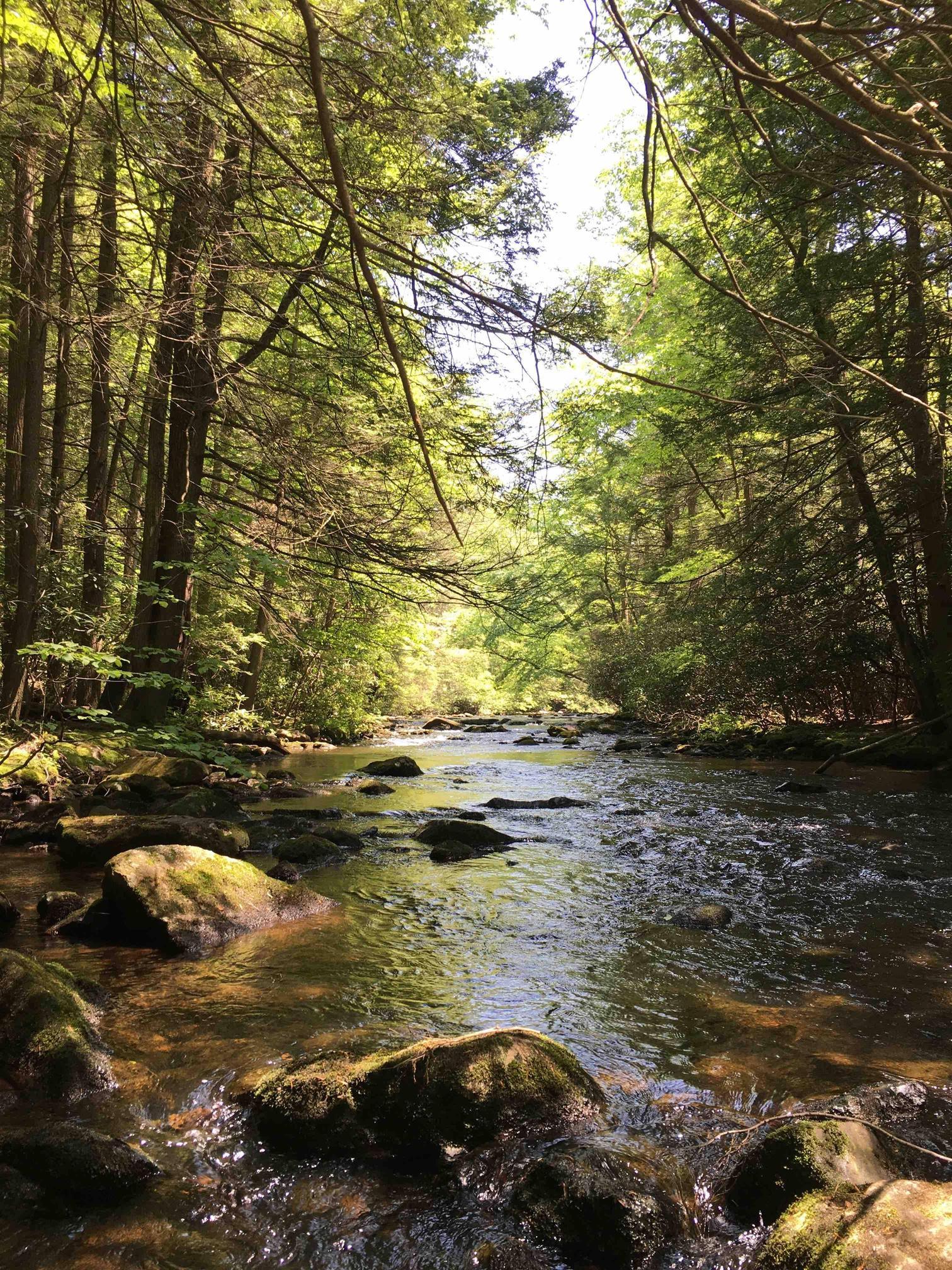 Stoney Creek, Pennsylvania OC HD Wallpapers From Gallsource