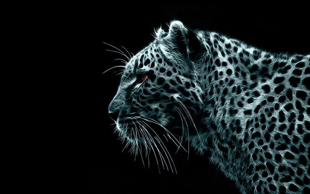 Pix For > White Cheetah Wallpapers