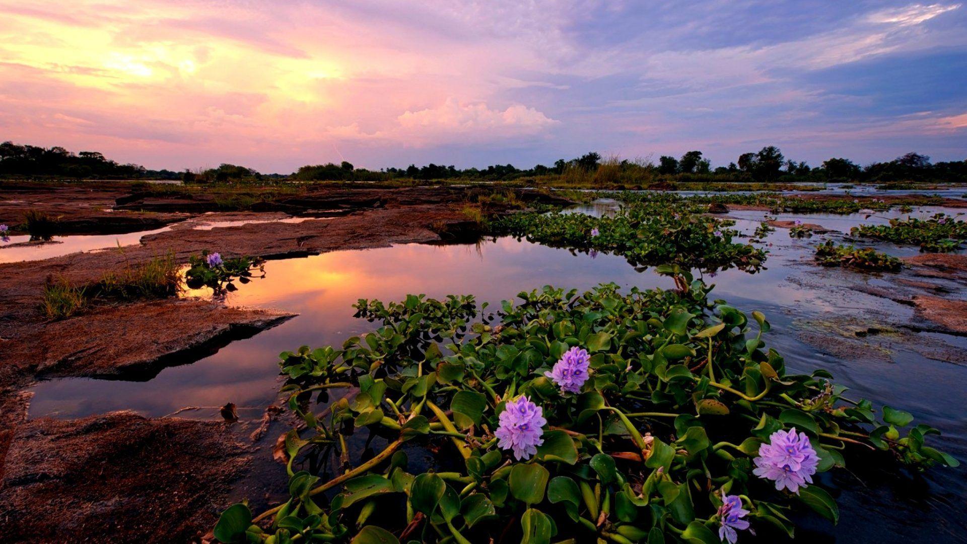 Zimbabwe Tag wallpapers: Zambezi Africa Paul Photography Bruins