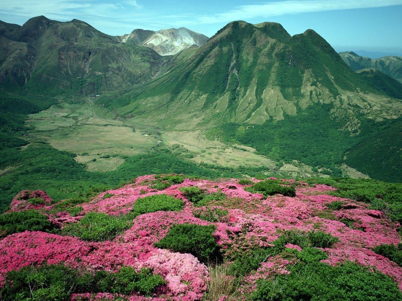 Primaveral Tag wallpapers: Montana Mountains Green Pinks State