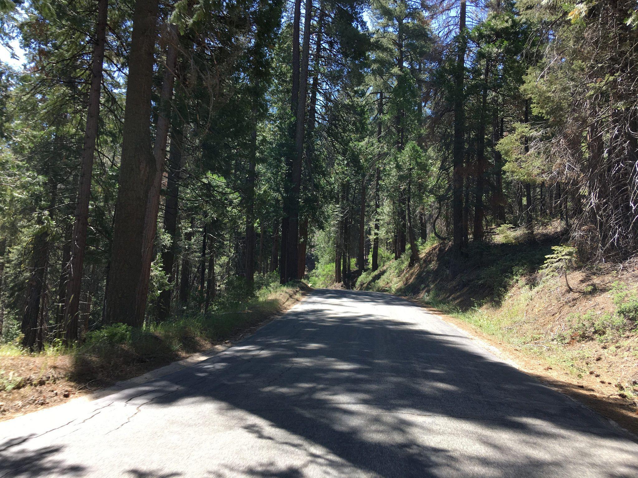 CA 180/Kings Canyon Highway