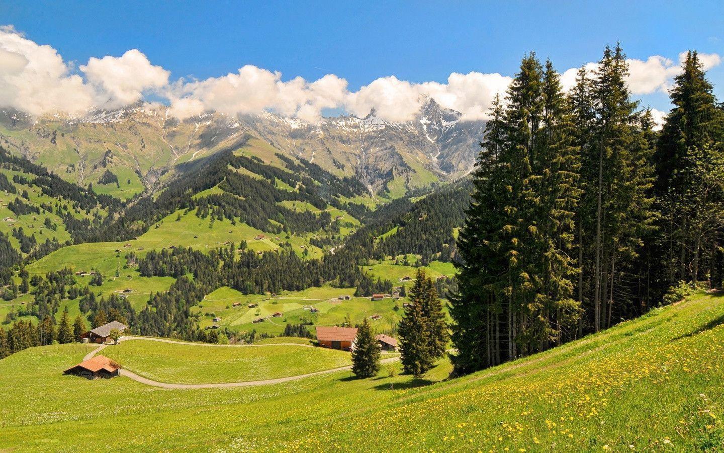 Swiss alps Wallpapers