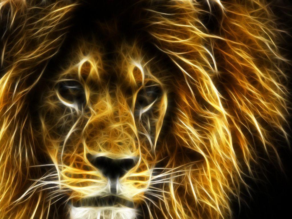 30 Undomesticated Lion Wallpapers