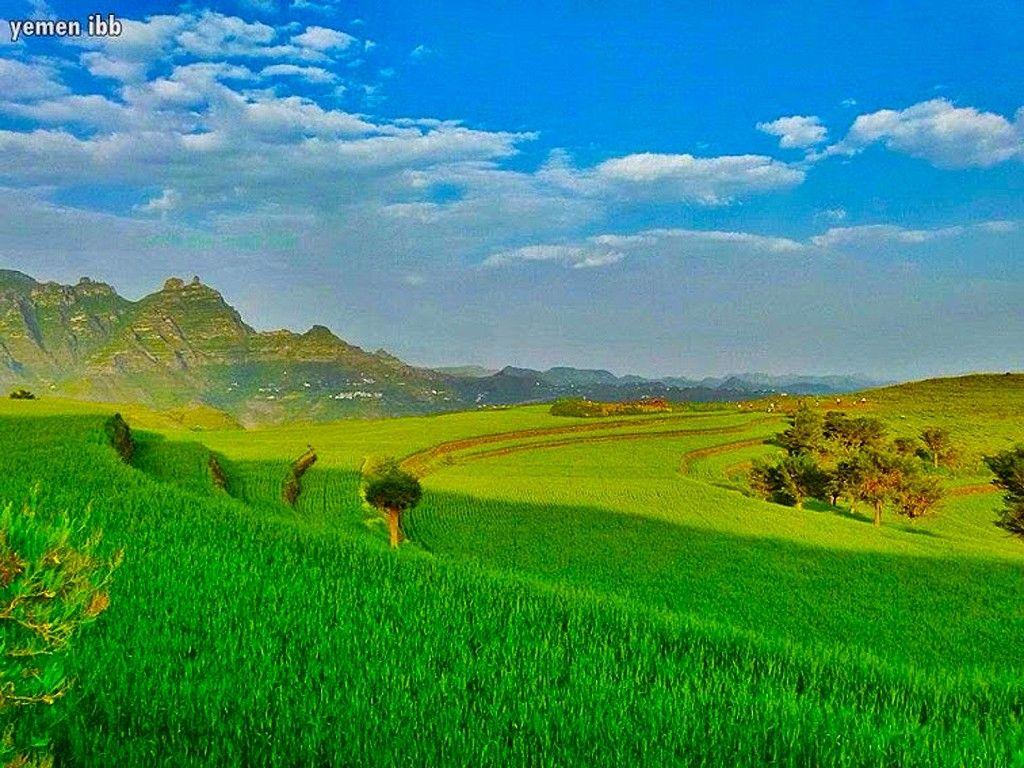 Mountains: Yemen Ibb Green Mountains Nature Arabia Fields