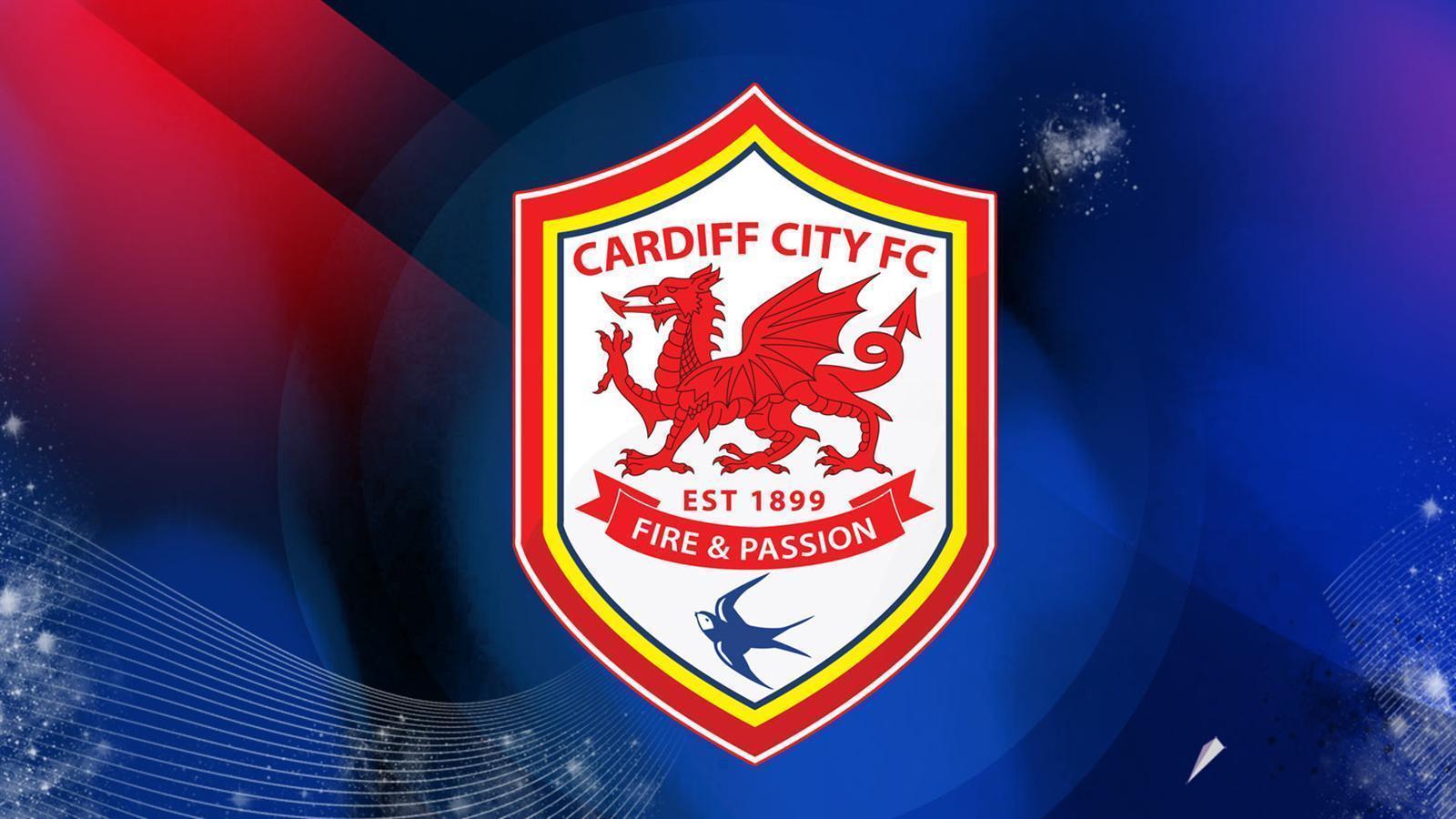 Cardiff City Wallpapers HD