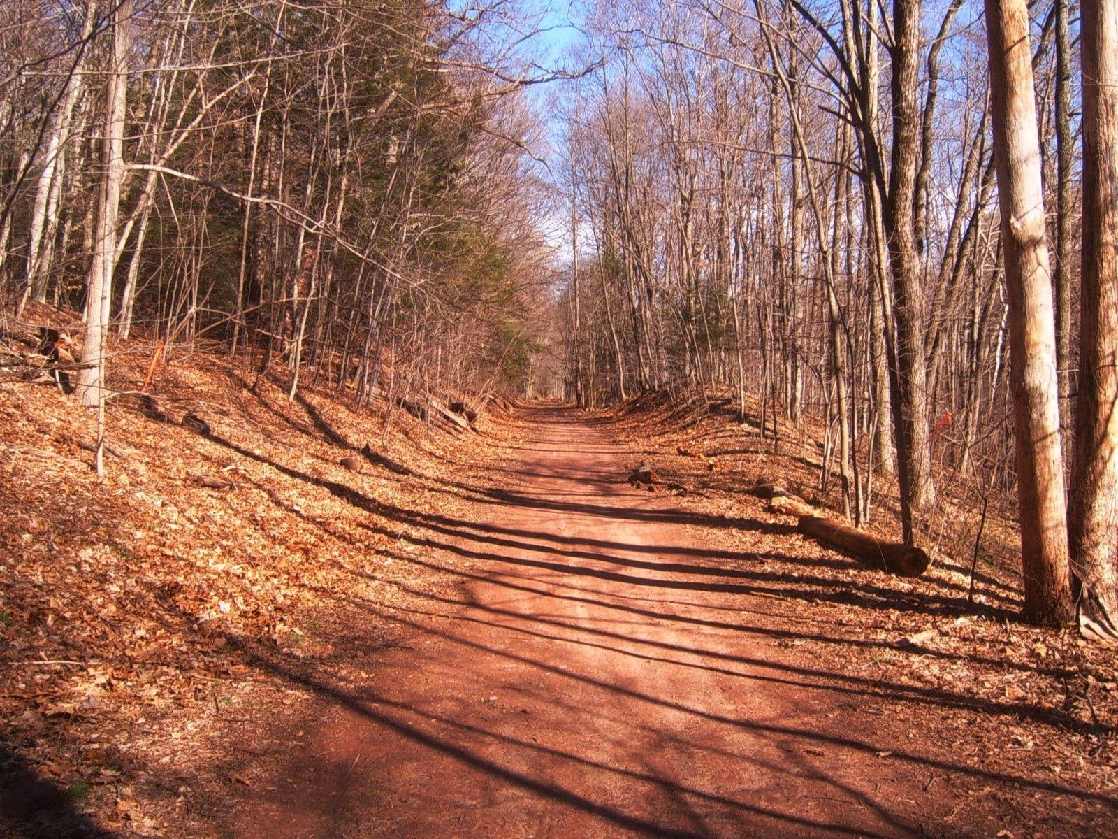 Forests: Quinnipiac River Gorge Rail Trail Connecticut Blue Sky Path