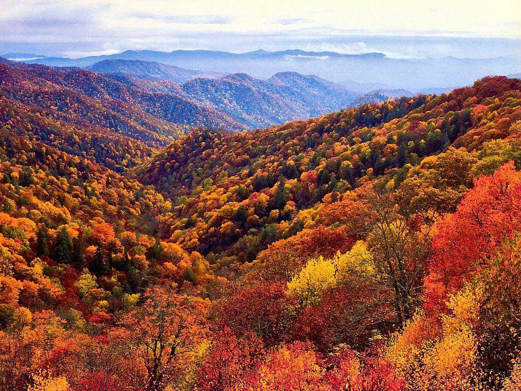 Great Smoky Mountains National Park