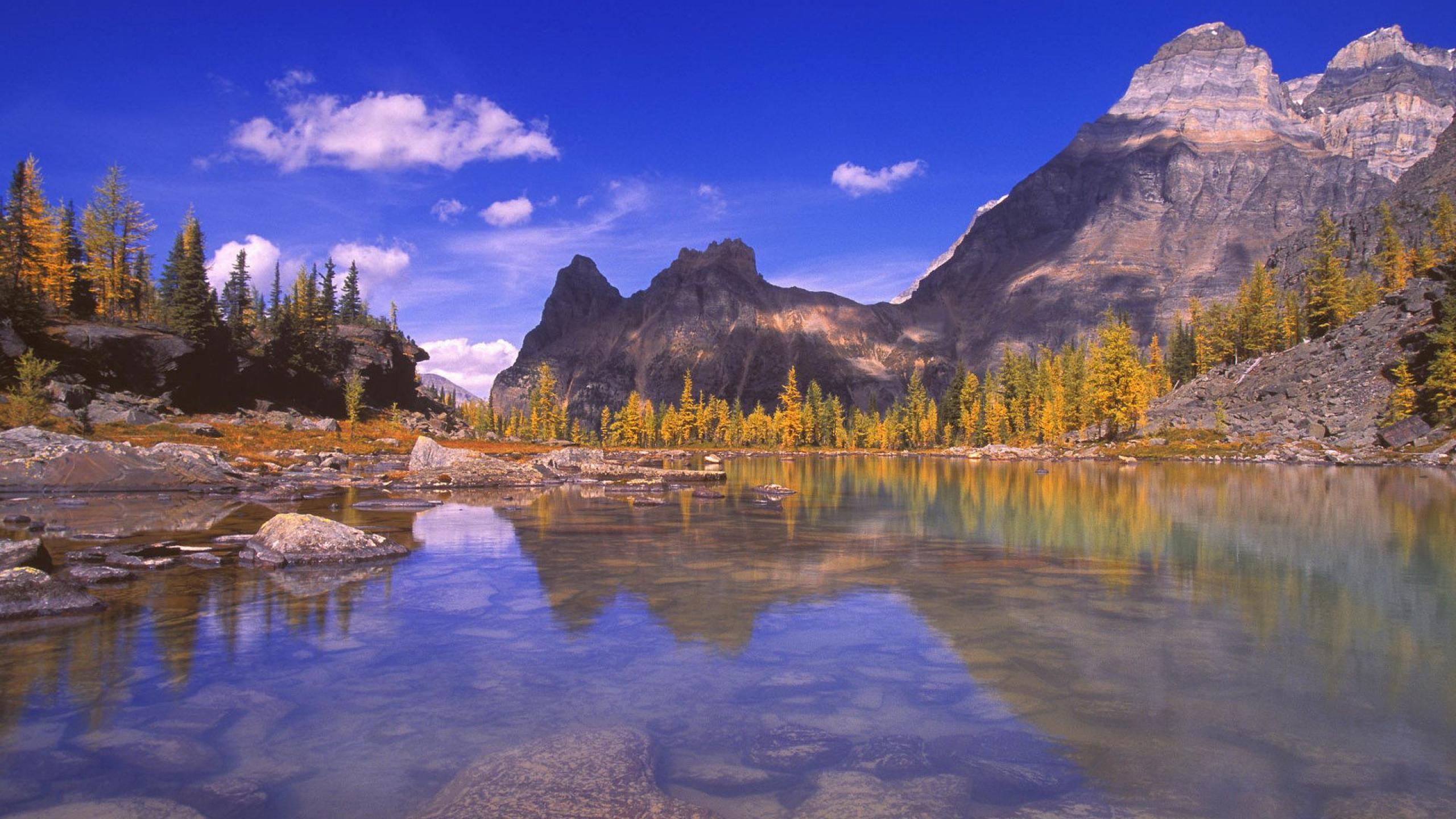 HD Rocky Mountain National Park Wallpaper, Live Rocky Mountain