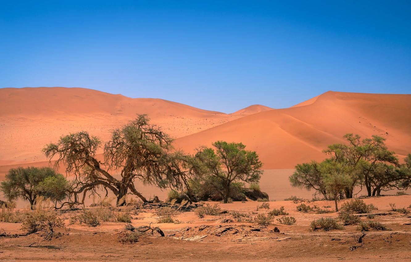 Wallpapers dunes, Africa, Namibia, Sands, Namibia, Sossusvlei image