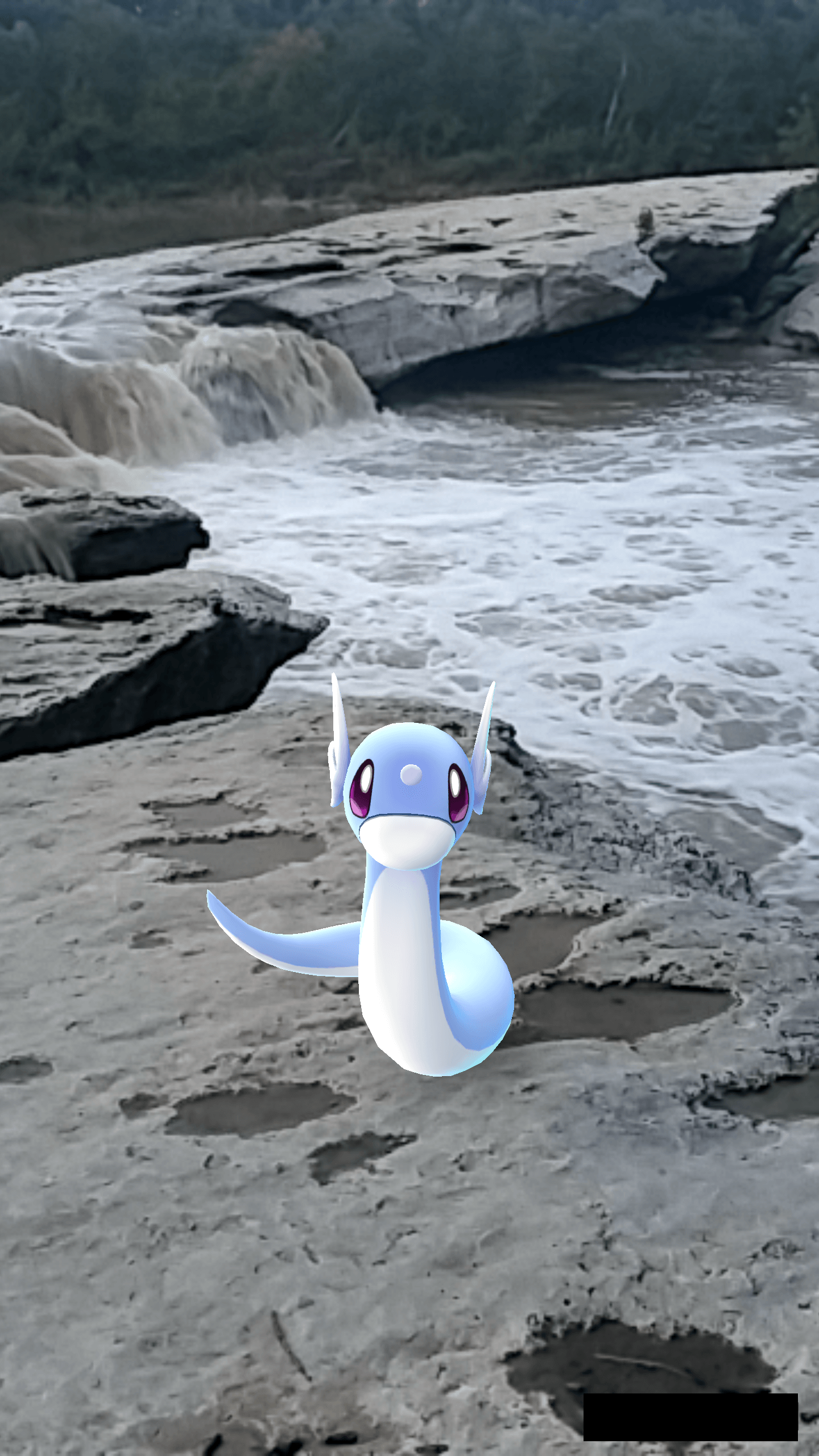 Pokemon GO, Pogo, phone, wallpaper, cute, Dratini