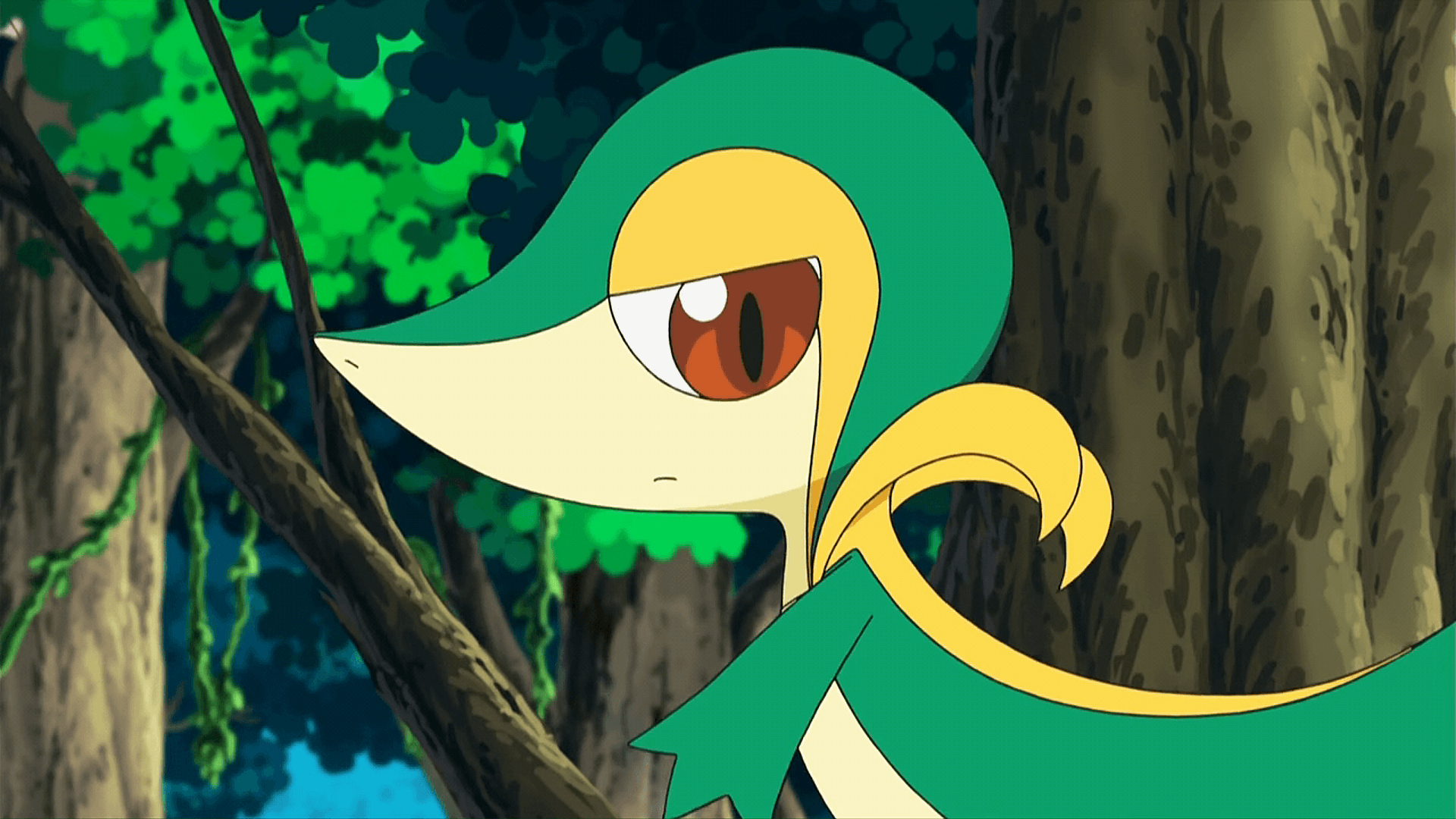 BW007: Snivy Plays Hard to Catch!