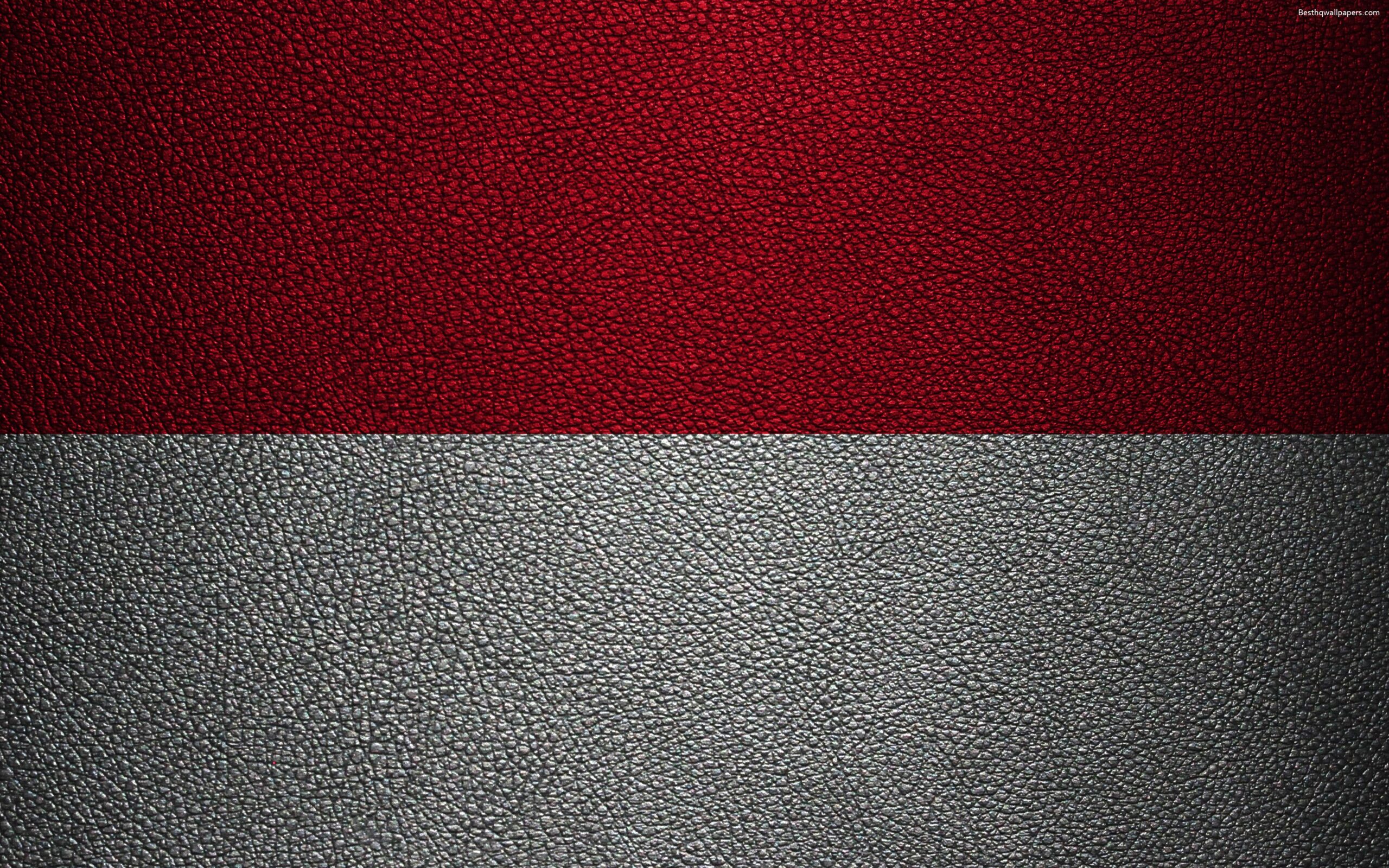 Download wallpapers Flag of Monaco, 4k, leather texture, Europe