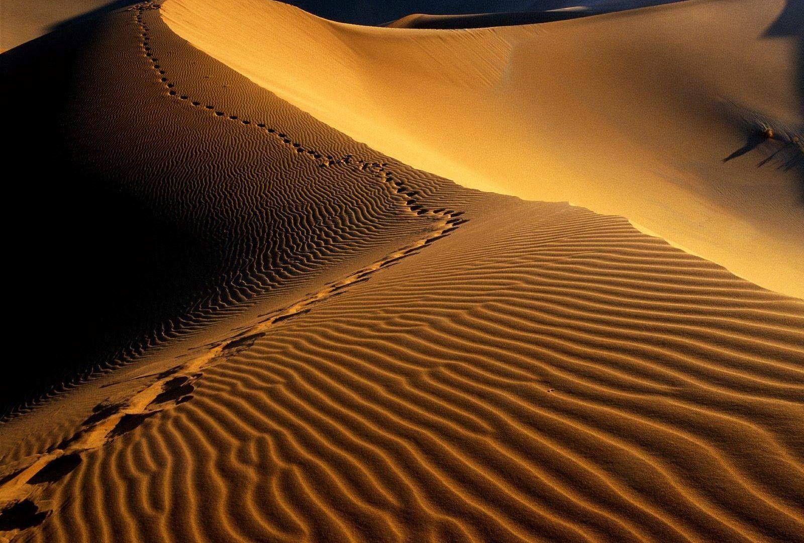 Desert Tag wallpapers: Desert Namibia Namib Africa Sahara Picture