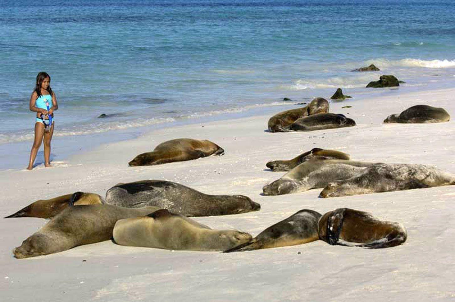 Galapagos Islands Cruises