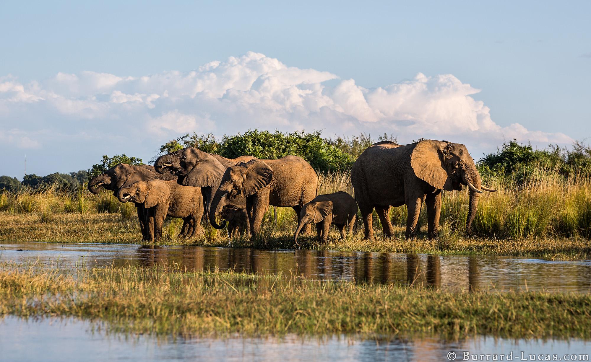 lower zambezi national park