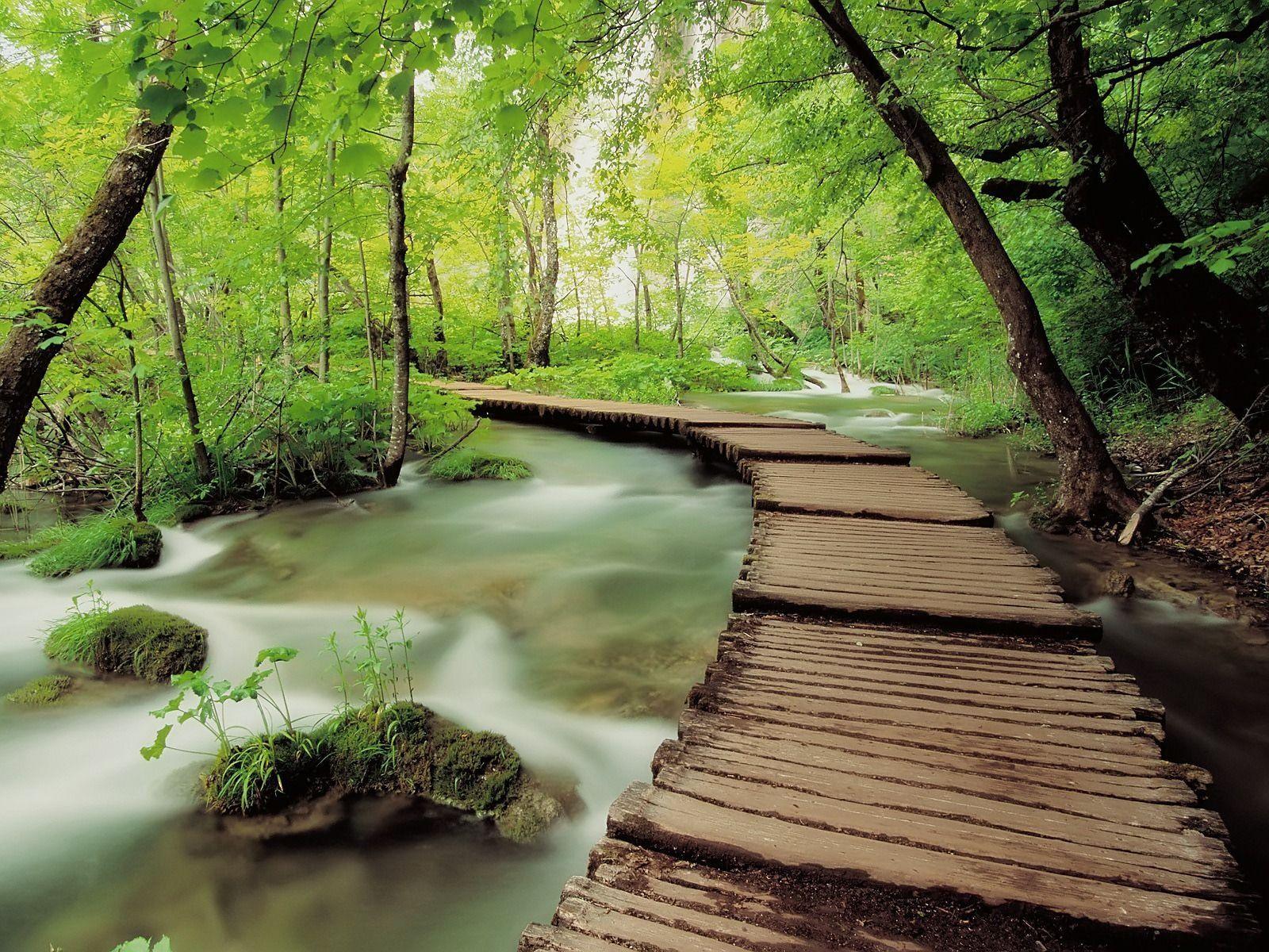 Plitvice National Park Wallpapers Croatia World Wallpapers in