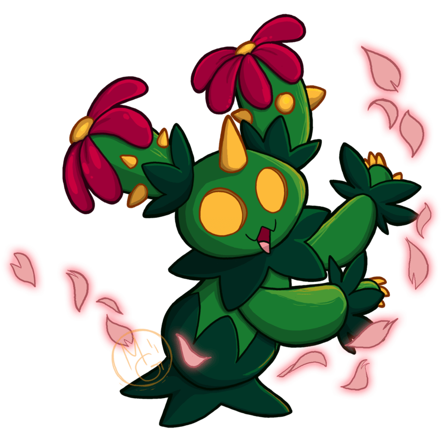 Maractus by tea