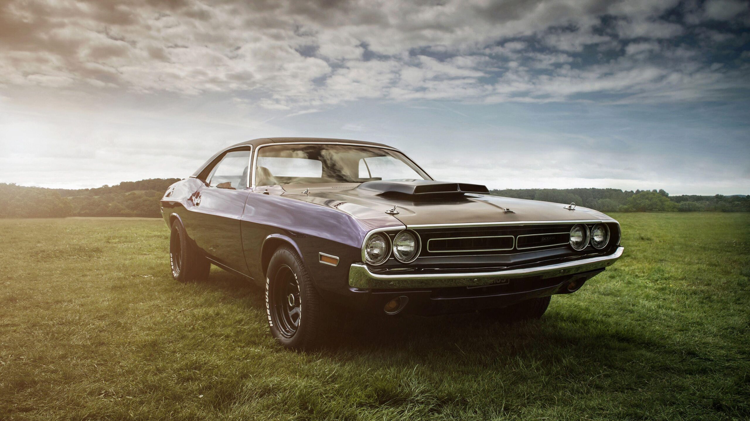 Dodge Challenger Hd 4k vintage cars wallpapers, muscle cars