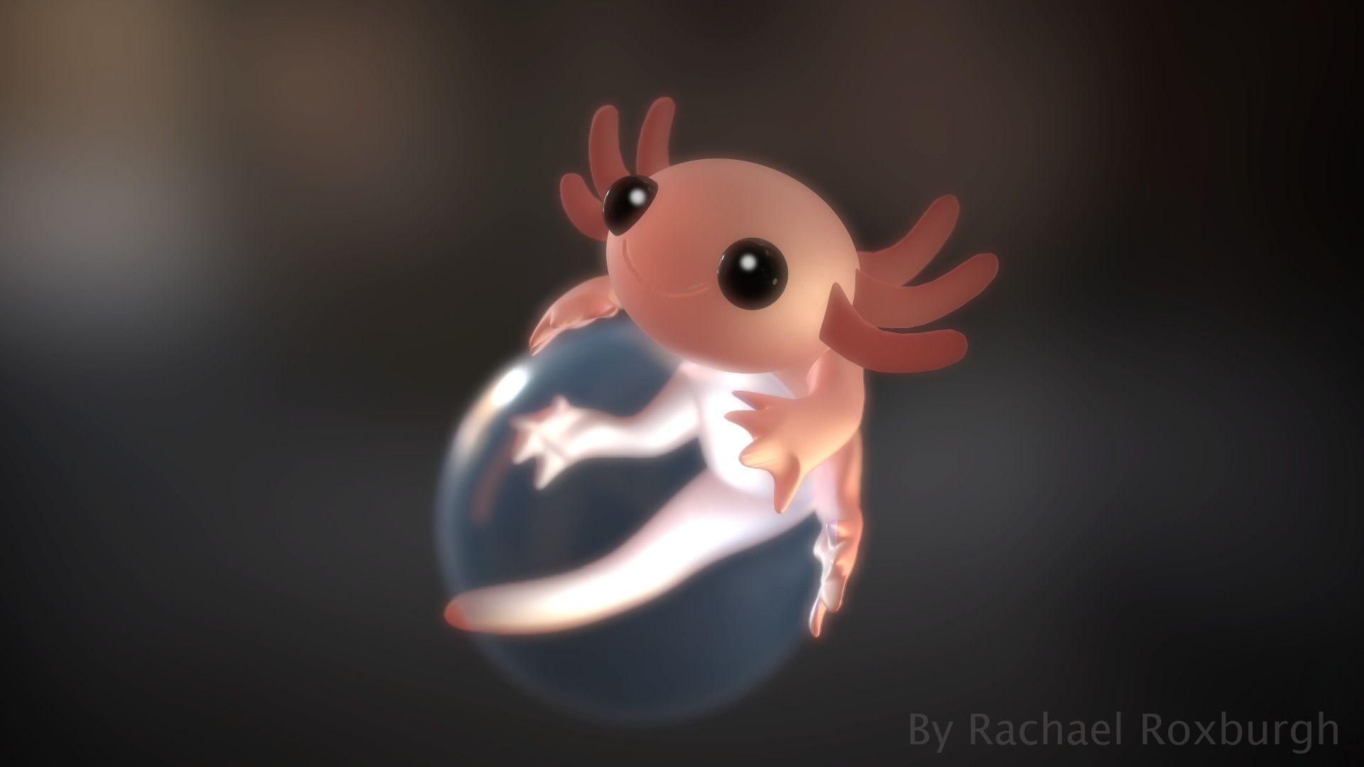 Axolotl Wallpapers 20279