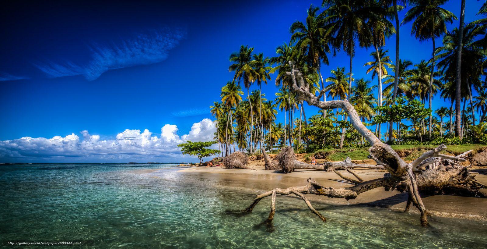 Download wallpapers Las Terrenas, Samana, Dominican Republic