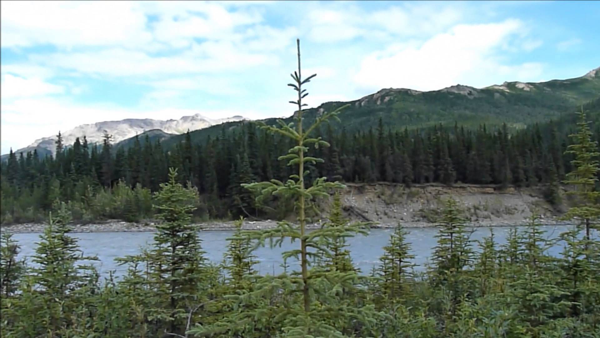 Denali Princess Lodge and Denali National Park