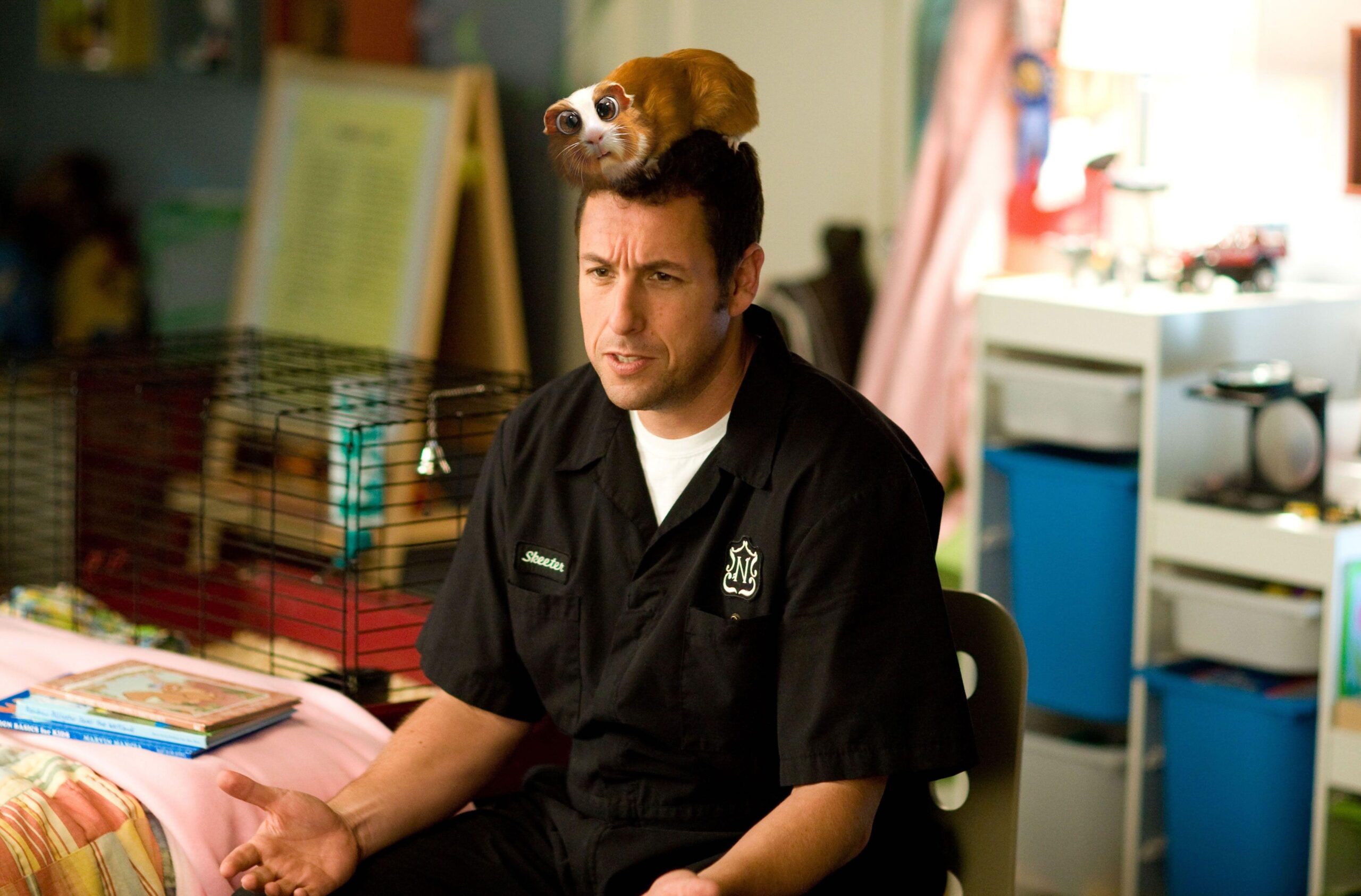 Adam Sandler Wallpapers Image Photos Pictures Backgrounds