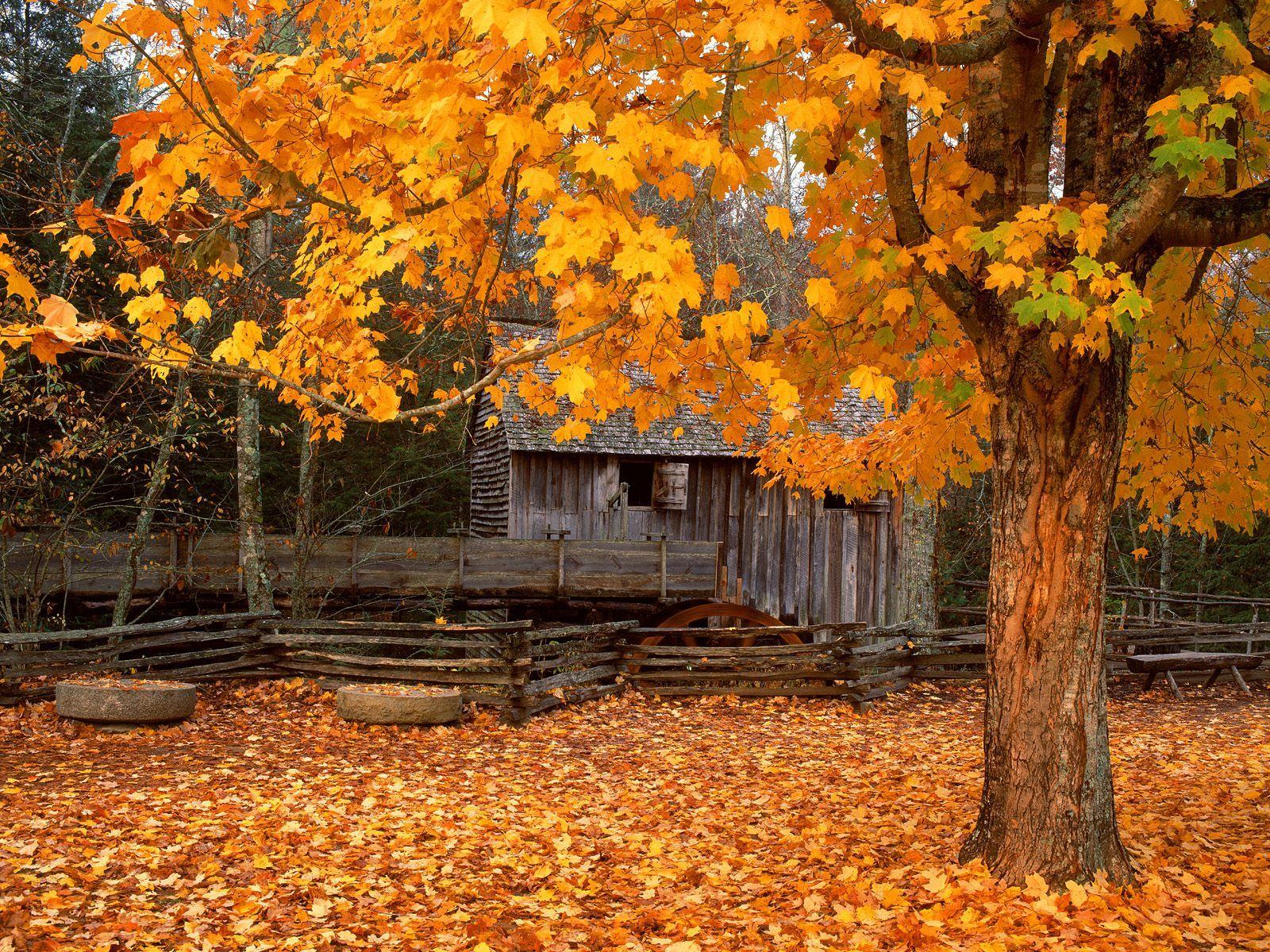 John Cable Mill Cades Cove Great Smoky Mountains National Park