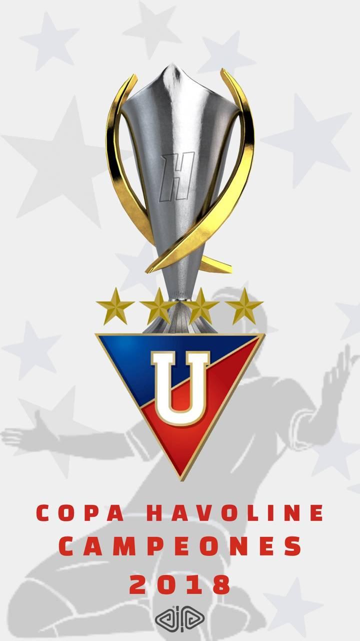 LDU