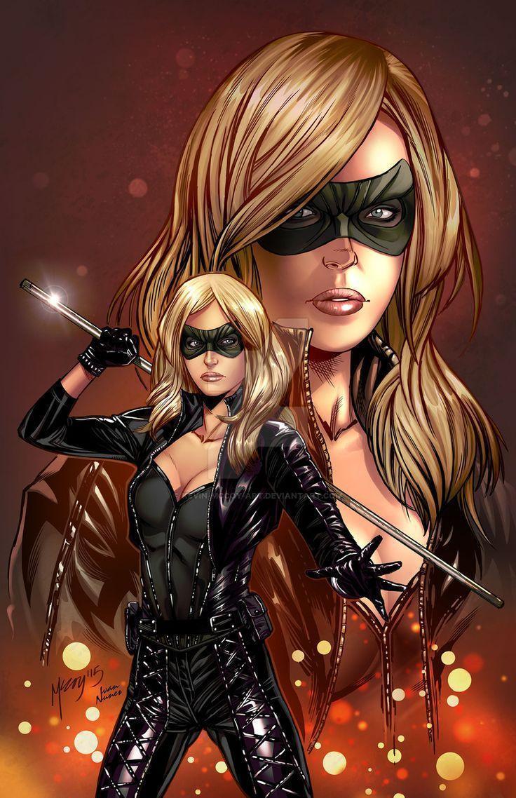 17 Best image about Canary/BlackCanary/WhiteCanary