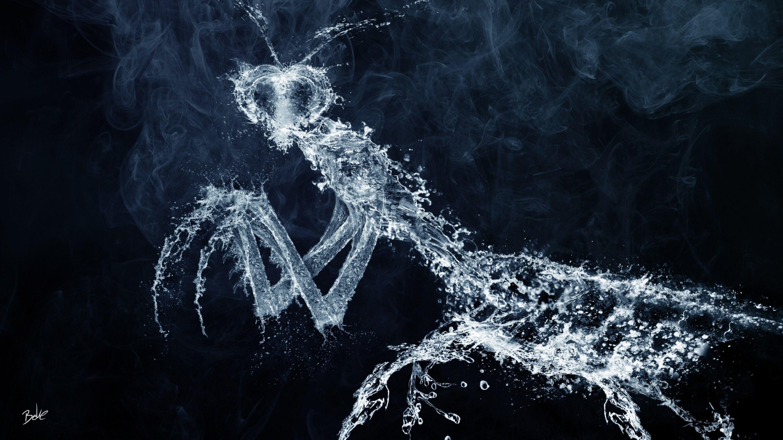 The figure of a praying mantis from the water wallpapers and image