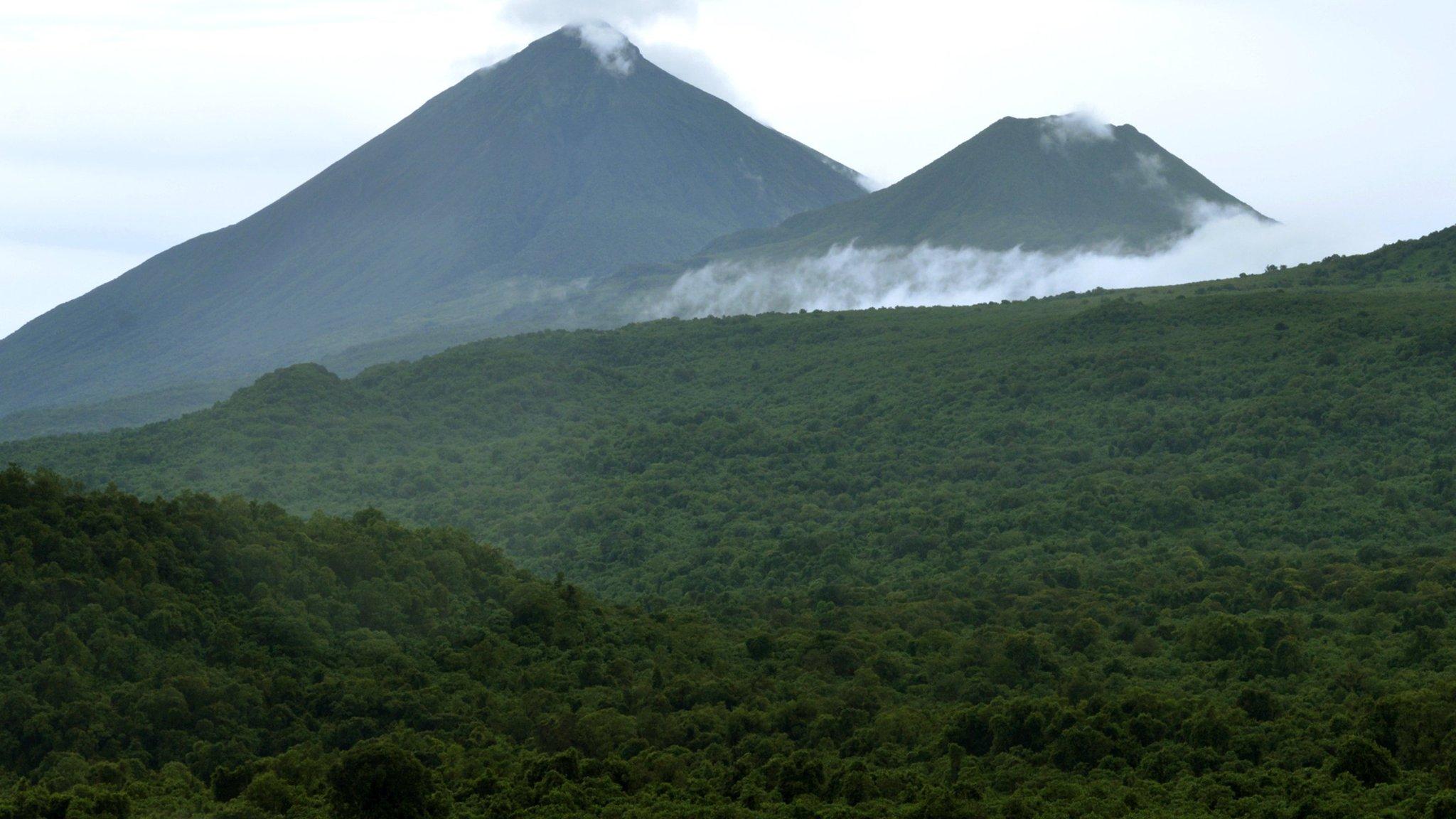 Democratic Republic of Congo signs deal to protect rainforest