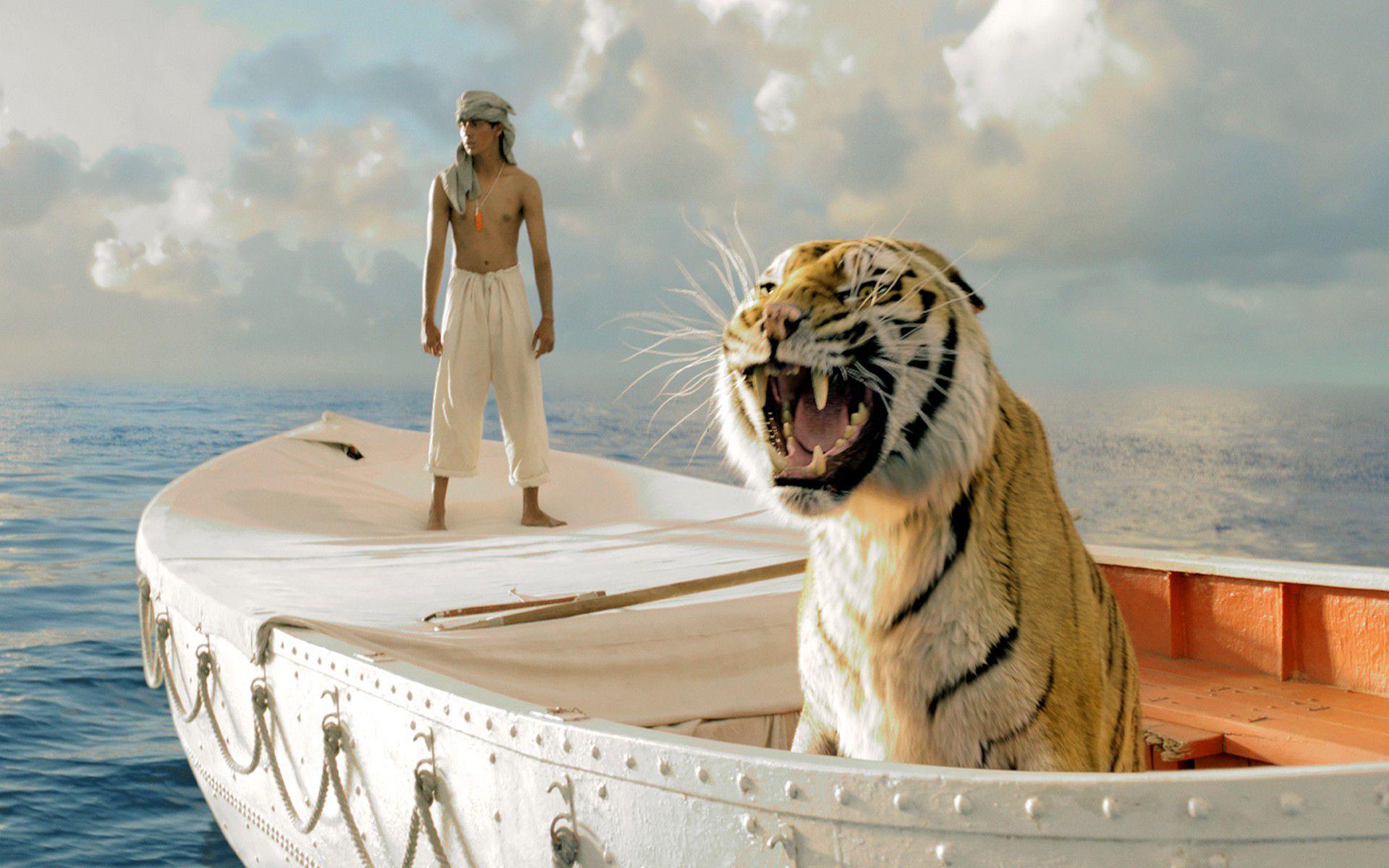 Life of Pi Wallpapers