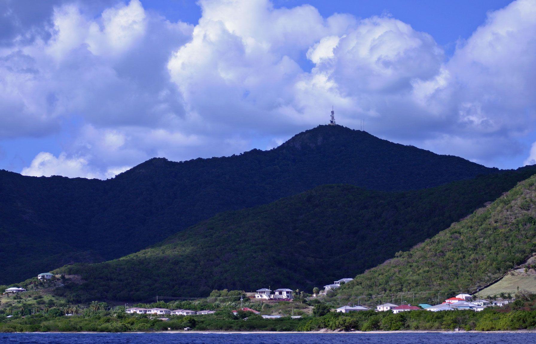 Wild Nature Wild Antigua and Barbuda