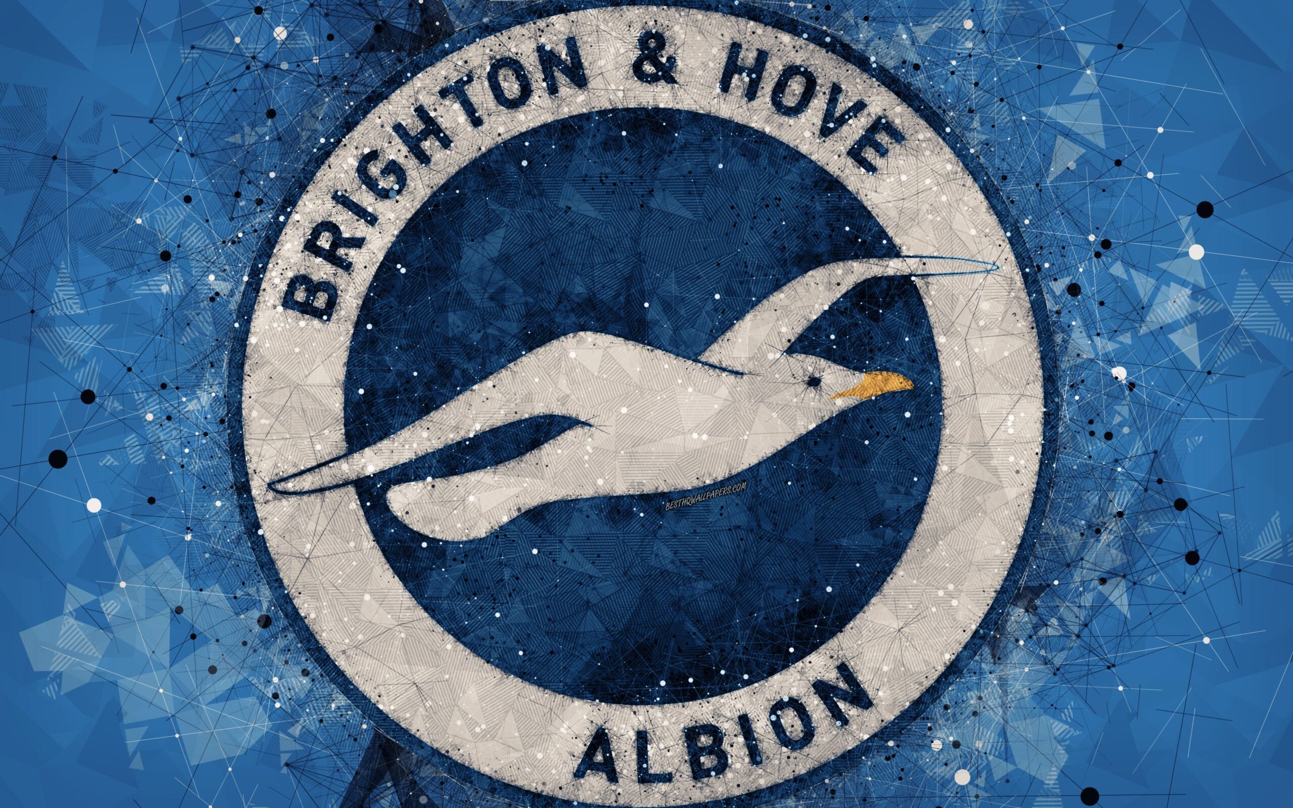 Download wallpapers Brighton and Hove Albion FC, 4k, logo, geometric