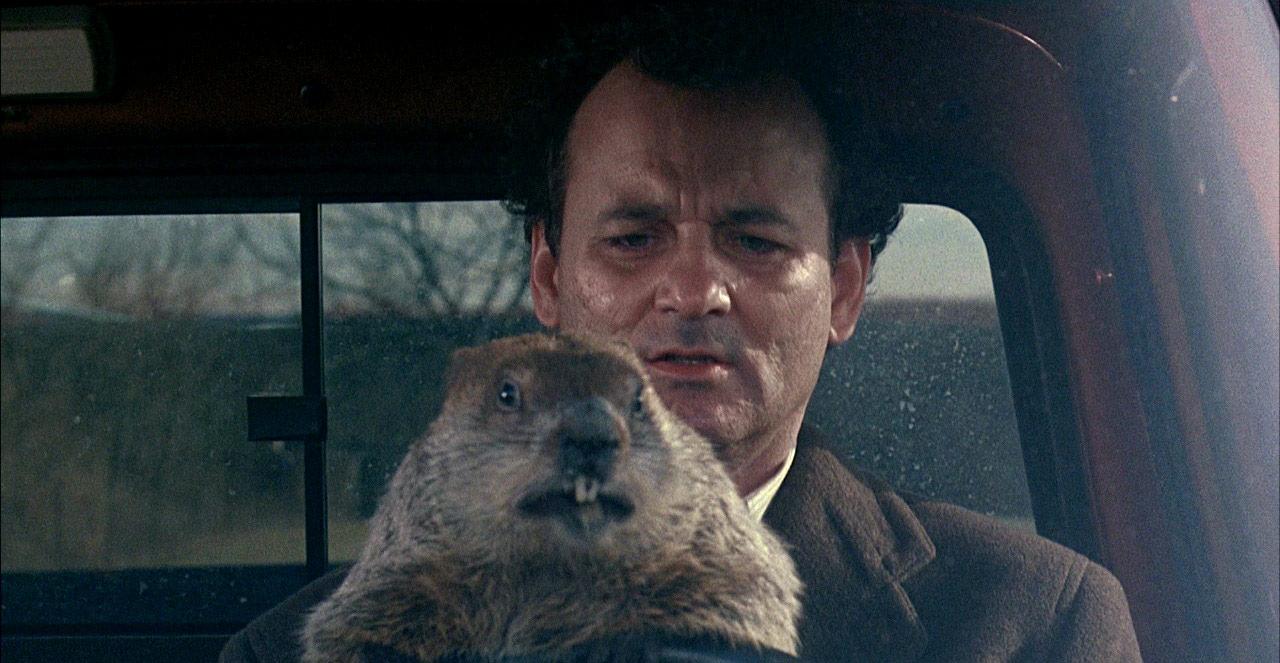 px Groundhog Day 201.16 KB