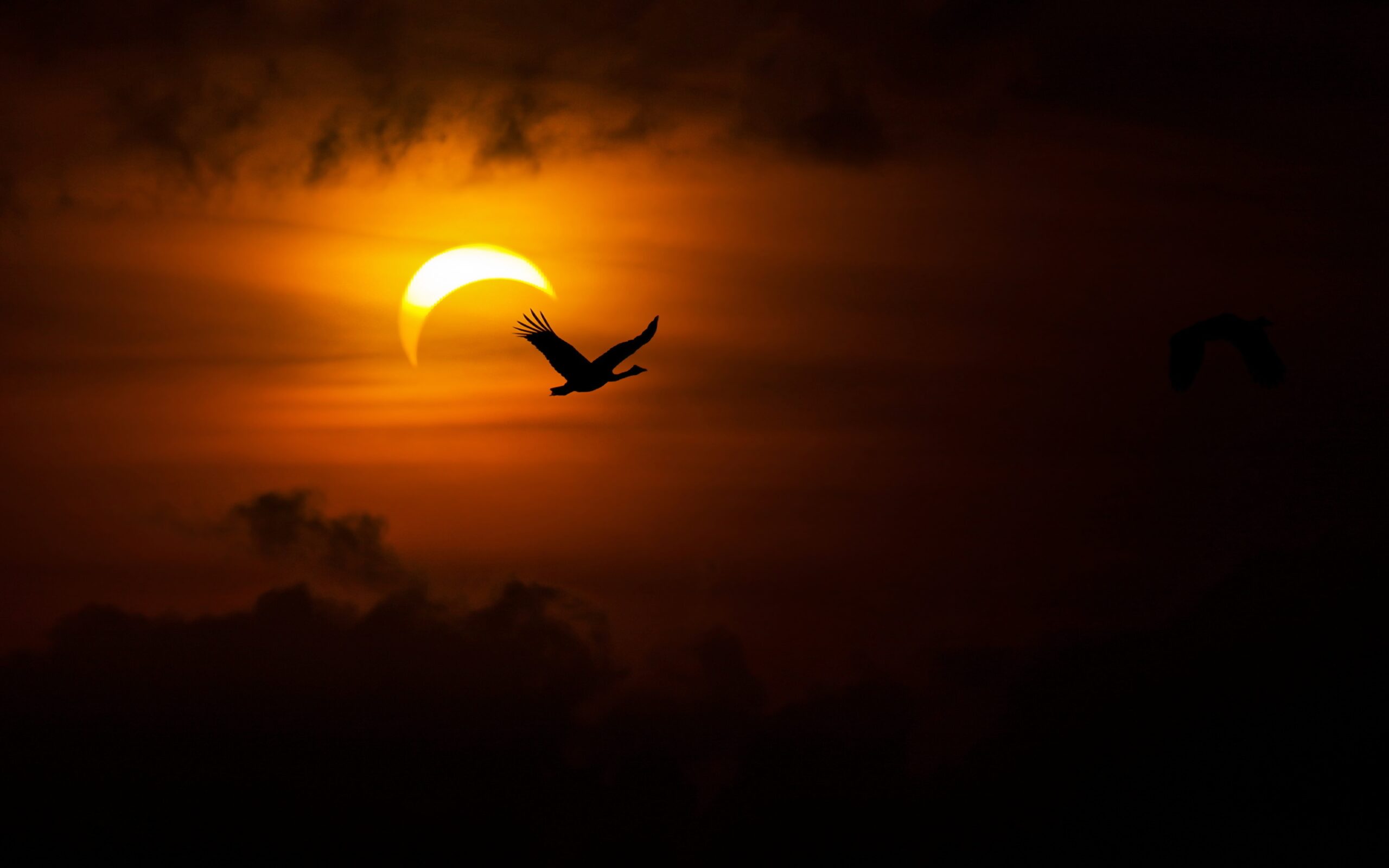 Solar Eclipse Wallpapers