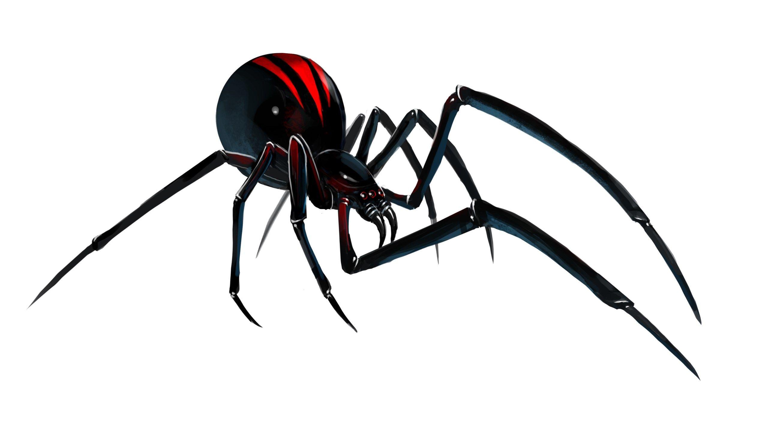 HDQ Image black widow