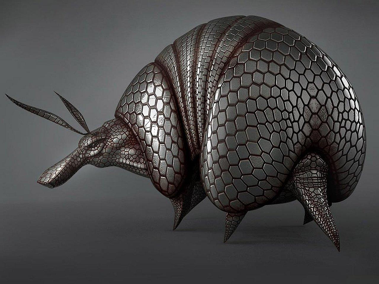 5 Armadillo HD Wallpapers