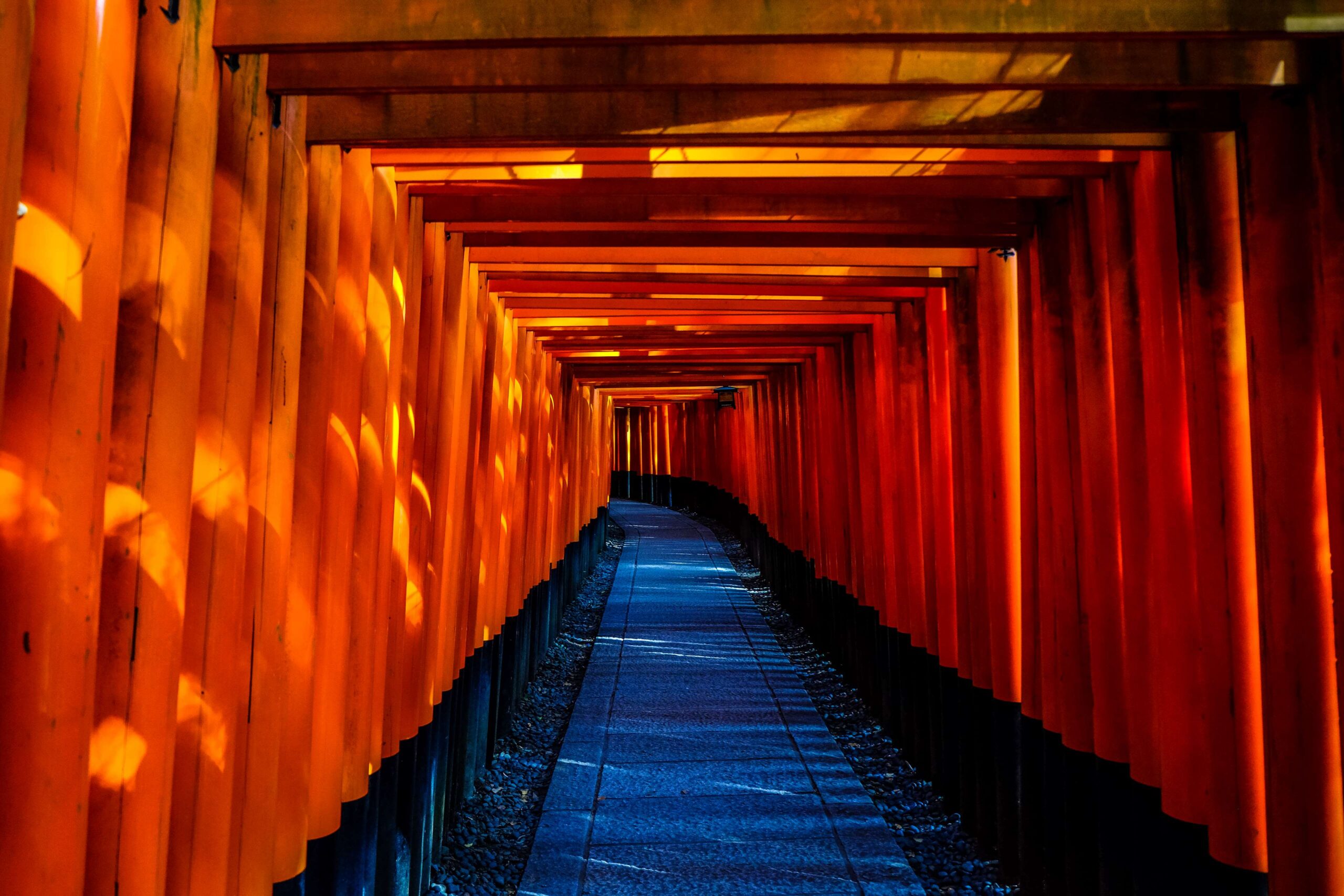 fushimi inari taisha, japan, temple, torii 4k wallpapers and backgrounds